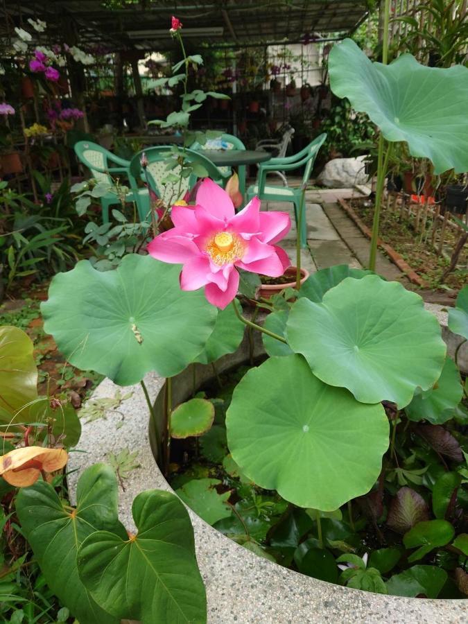 Garden Hostel Minxiong Dış mekan fotoğraf
