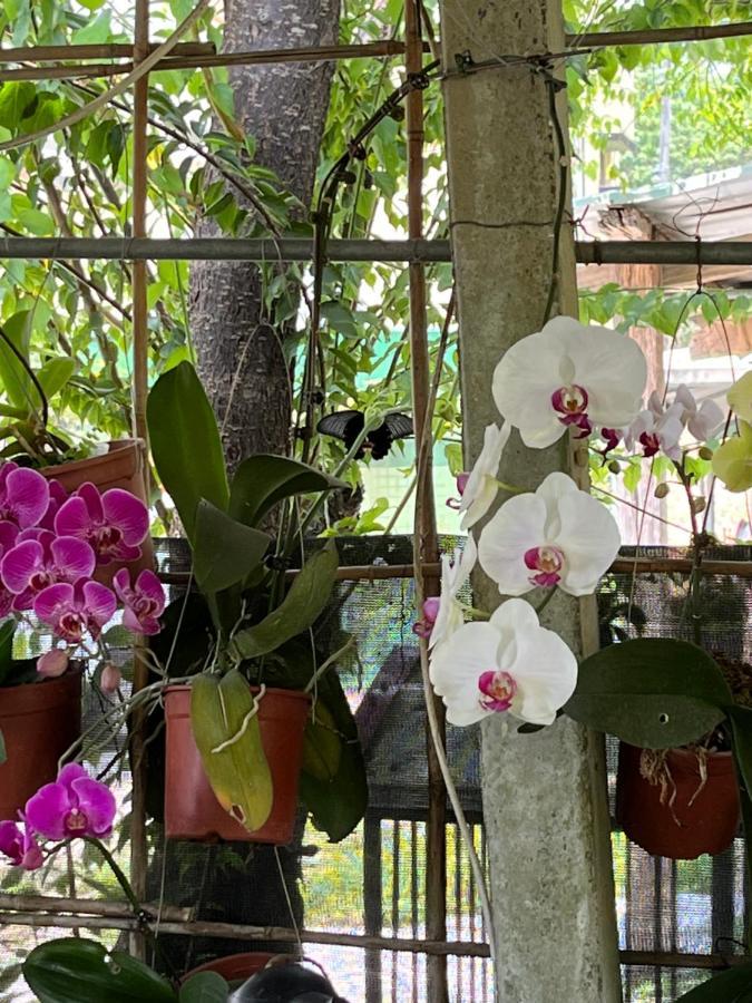Garden Hostel Minxiong Dış mekan fotoğraf