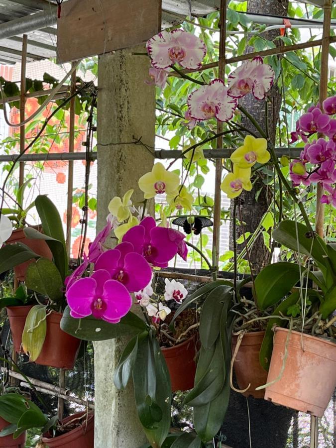 Garden Hostel Minxiong Dış mekan fotoğraf