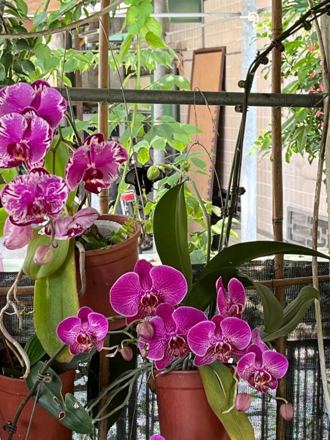 Garden Hostel Minxiong Dış mekan fotoğraf