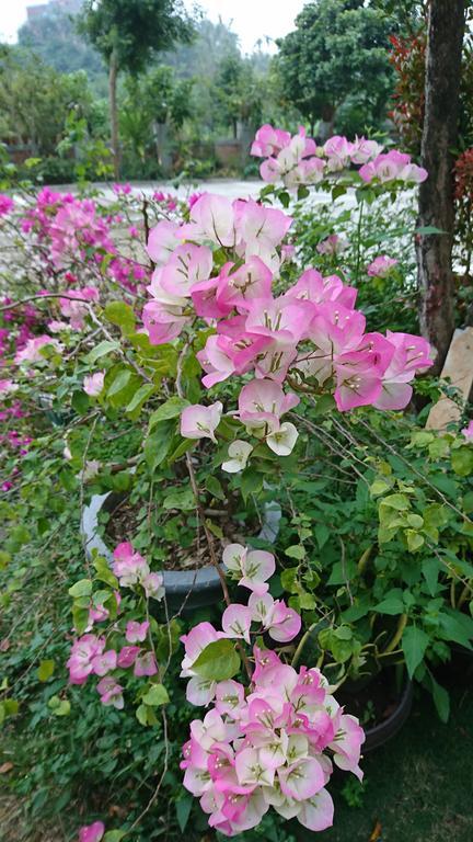 Garden Hostel Minxiong Dış mekan fotoğraf