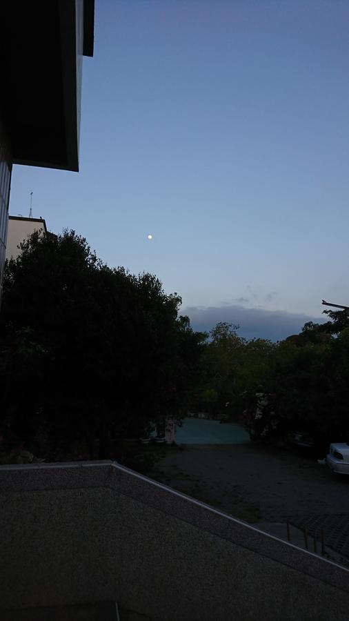 Garden Hostel Minxiong Dış mekan fotoğraf